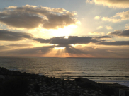  موقع يافا 48 يواصل نشر الصور الجميلة عبر زاويته "صورتي الأجمل"